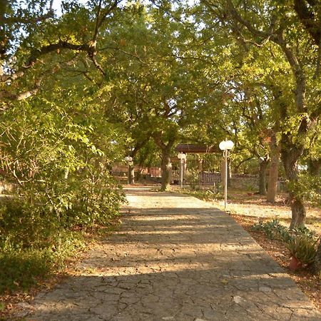 Par Tot Guest House Locorotondo Exterior photo