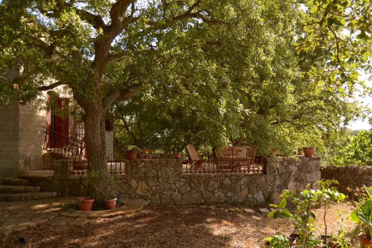 Par Tot Guest House Locorotondo Exterior photo
