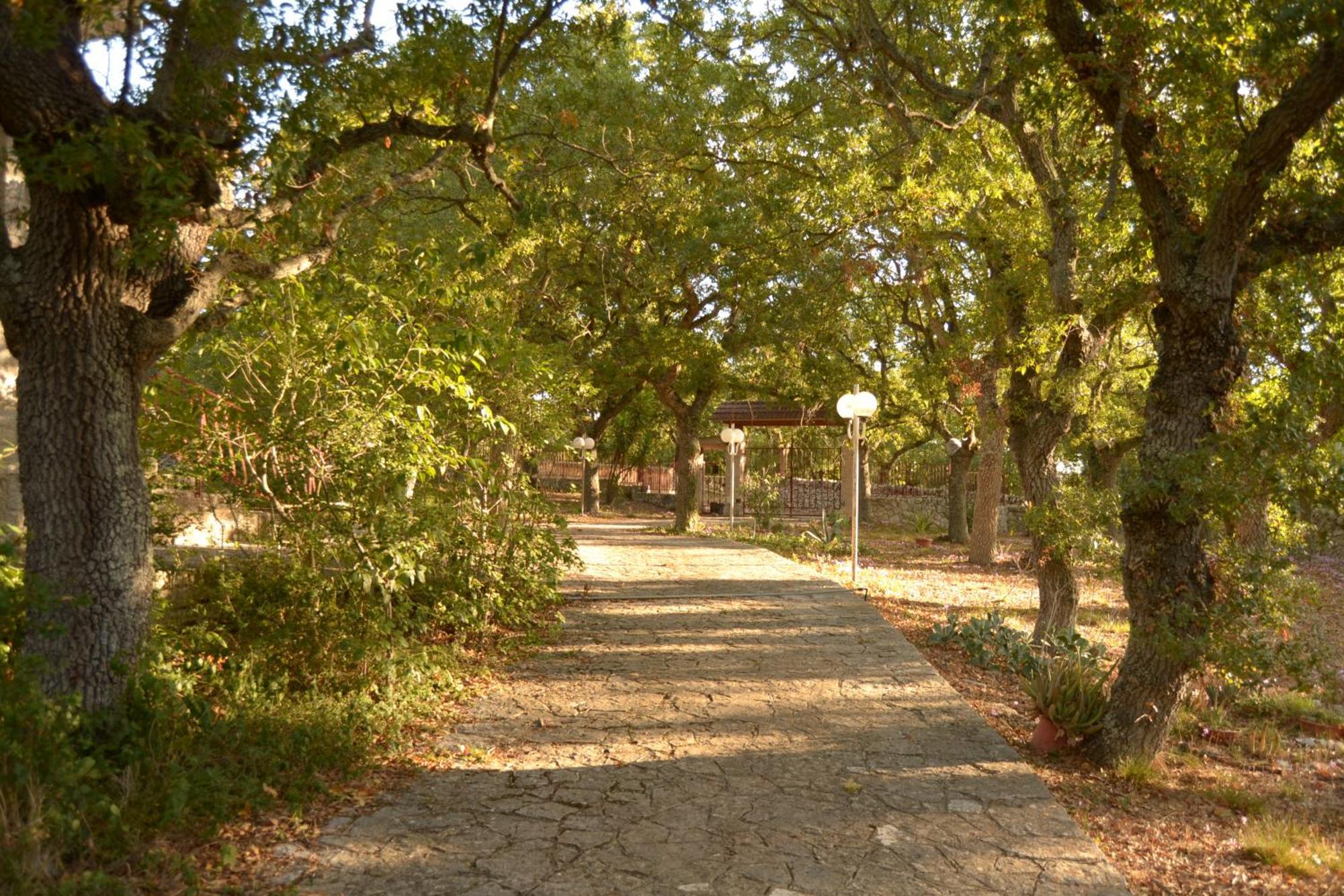 Par Tot Guest House Locorotondo Exterior photo