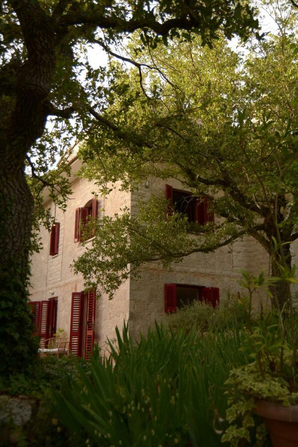 Par Tot Guest House Locorotondo Exterior photo